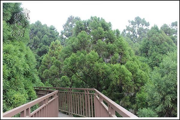 PhotoCap_023.jpg