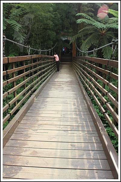 PhotoCap_041.jpg