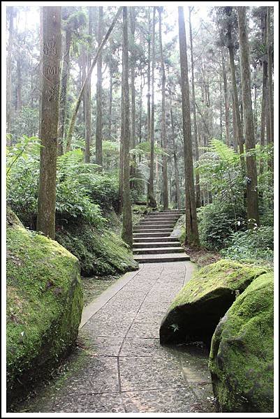 PhotoCap_042.jpg
