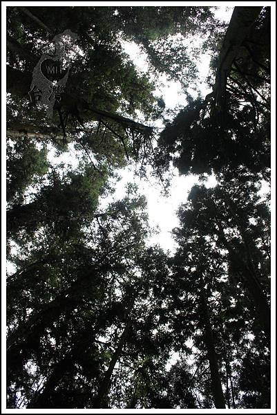 PhotoCap_044.jpg