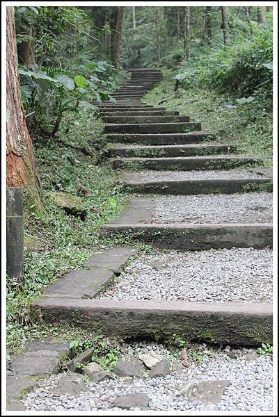 PhotoCap_046.jpg