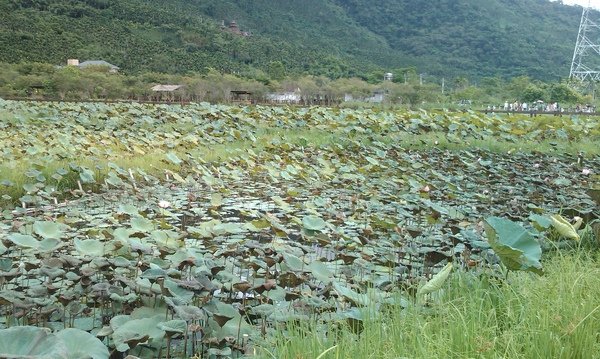 IMAG0067.jpg