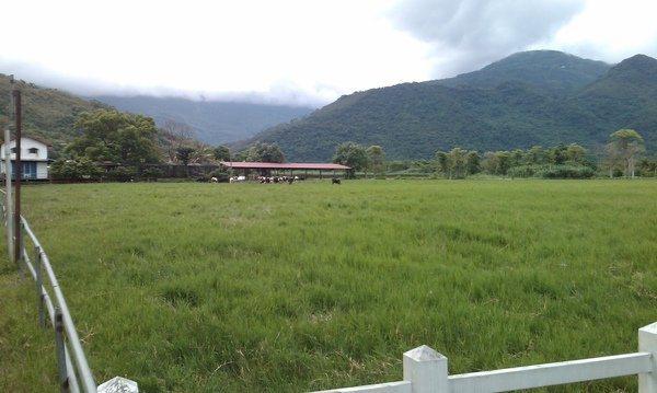 IMAG0077.jpg