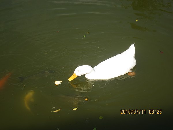 04這塊餅乾是我的.JPG