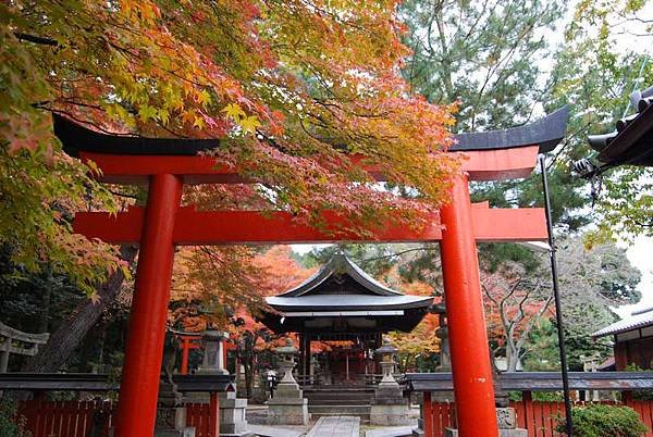 14吉田神社的鳥居-1