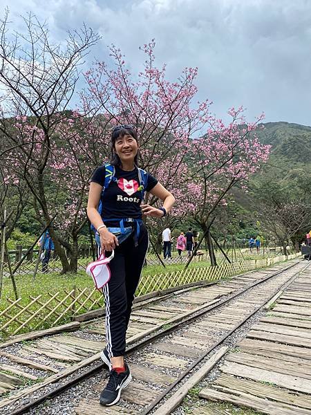 北台灣賞櫻系列-天元宮/平菁街/大熊櫻花林/陽明山國家公園/