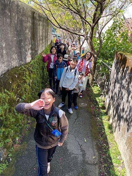 北台灣賞櫻系列-天元宮/平菁街/大熊櫻花林/陽明山國家公園/