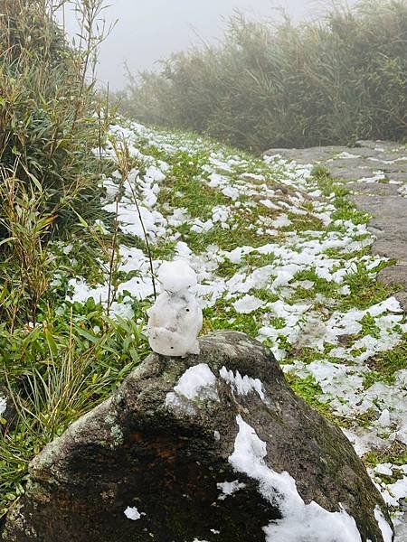 2024陽明山下雪了-七星公園、七星山