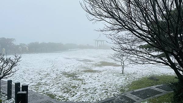 2024陽明山下雪了-七星公園、七星山