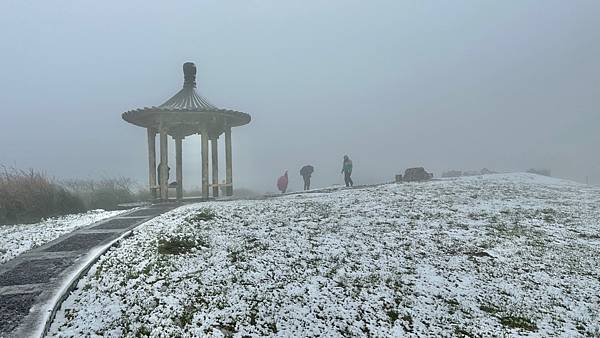 2024陽明山下雪了-七星公園、七星山