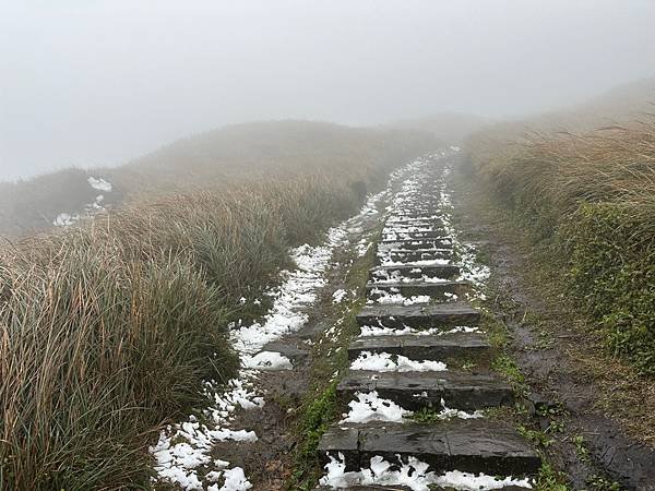 2024陽明山下雪了-七星公園、七星山