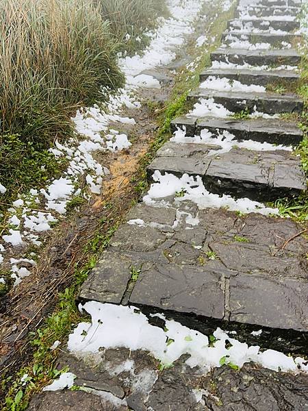 2024陽明山下雪了-七星公園、七星山