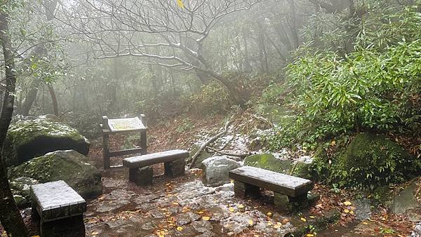 2024陽明山下雪了-七星公園、七星山