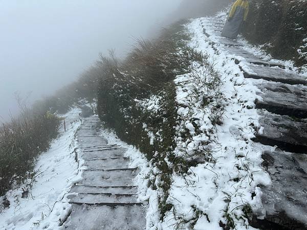 2024陽明山下雪了-七星公園、七星山