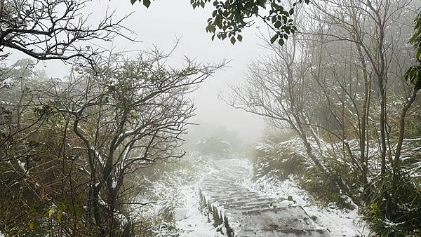 2024陽明山下雪了-七星公園、七星山