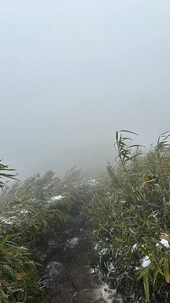 2024陽明山下雪了-七星公園、七星山