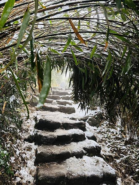 2024陽明山下雪了-七星公園、七星山