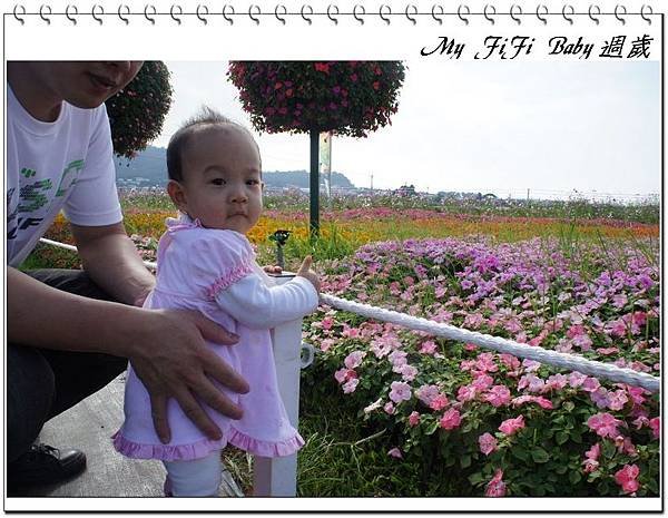 nEO_IMG_0 (91)