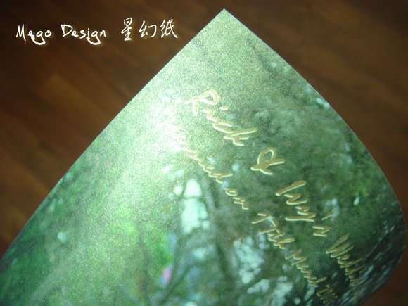 DSC08117 copy.jpg