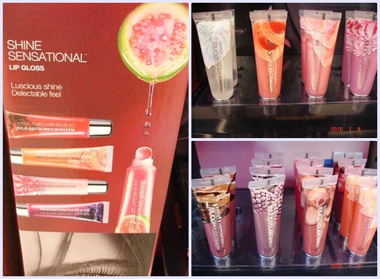2010Jan9 Maybelline 014.jpg