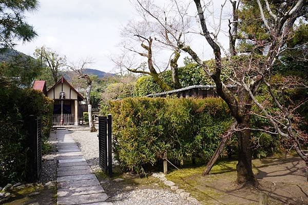 DSC01485 2 (1).jpg