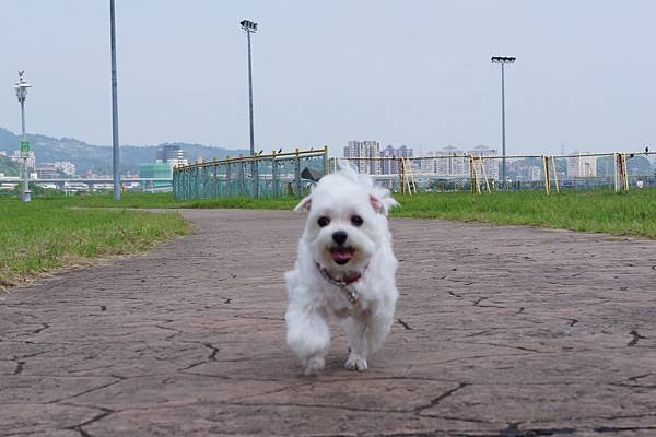 DSC04147 (1).jpg
