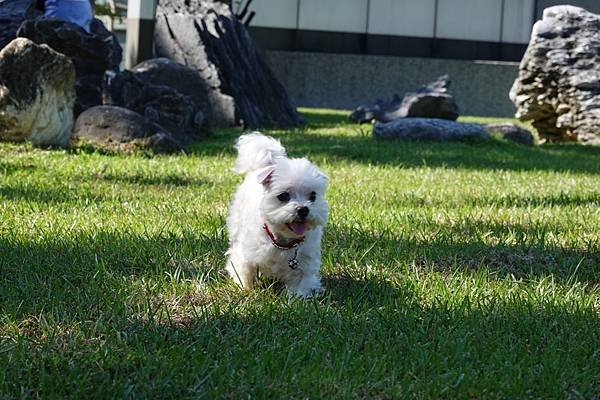 DSC01812 (1).jpg