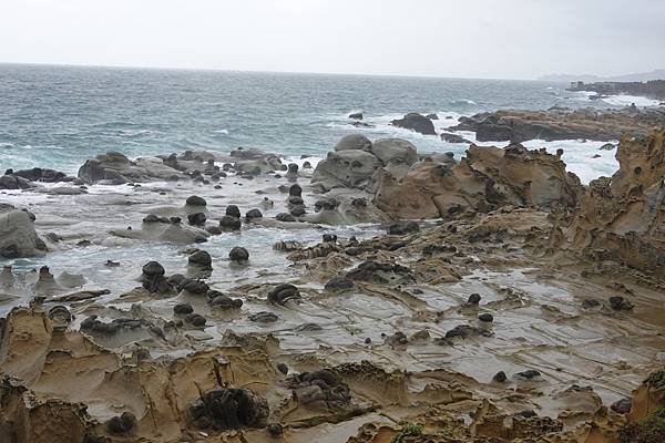 DSC04319 (1).jpg
