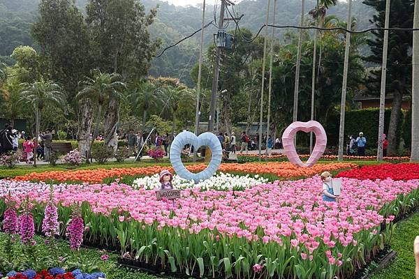 DSC01380 (1).jpg