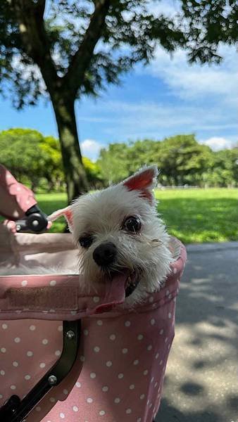 IMG_8709.jpeg