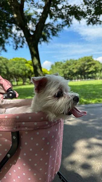 IMG_8710.jpeg