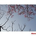 DSC07819(001).jpg
