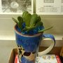 DSC00318.JPG