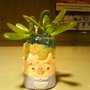 DSC00319.JPG