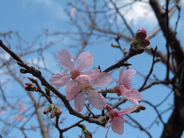 IMG_0158.1.JPG