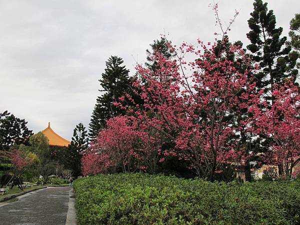 IMG_0384.1.JPG