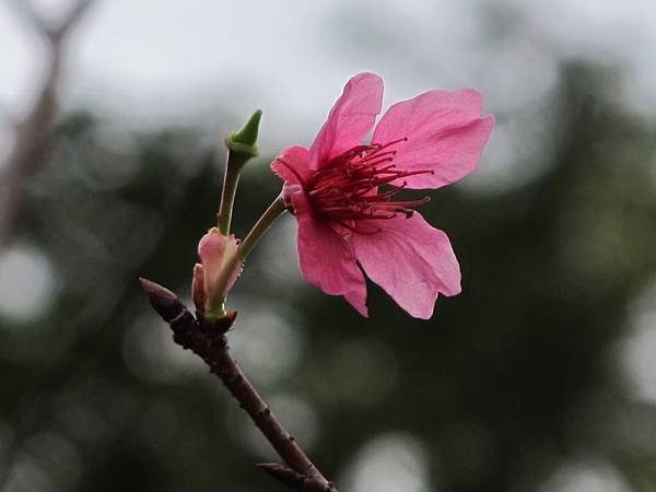 IMG_0389.1.JPG