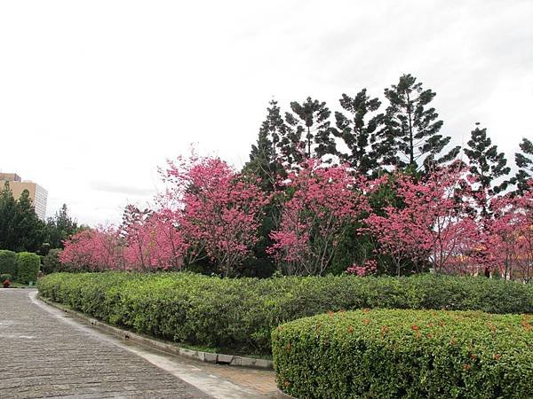 IMG_0390.1.JPG