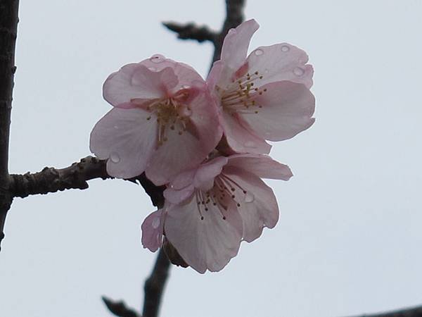 IMG_0404.1.JPG