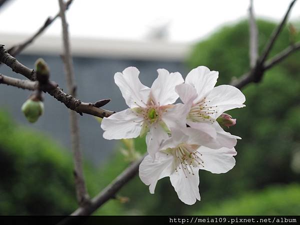 IMG_0709.1.JPG