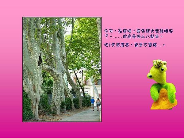 投影片15.JPG