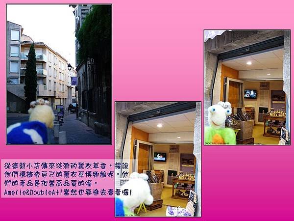 投影片17.JPG