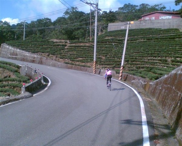 Image011.jpg