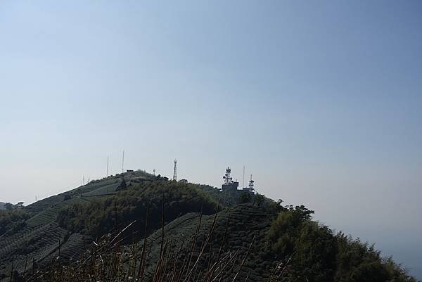 華24