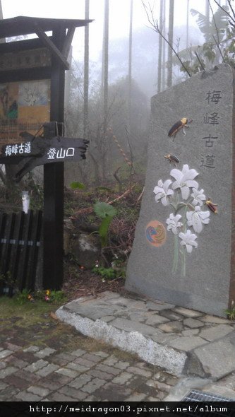 IMAG0085