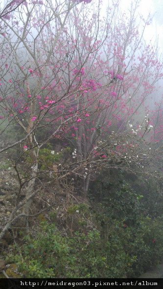 IMAG0084