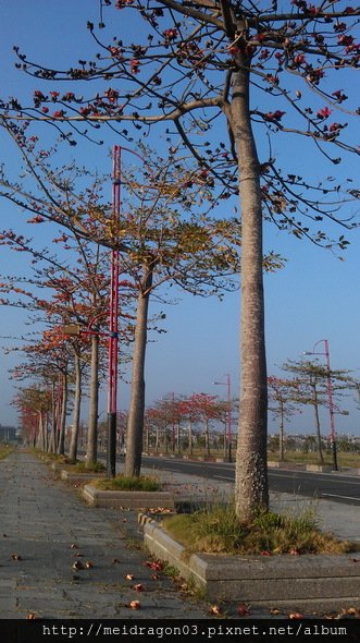 IMAG0303