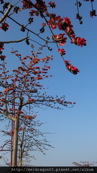 IMAG0305