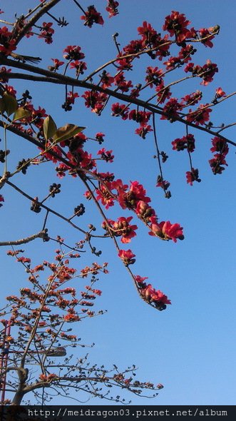 IMAG0306
