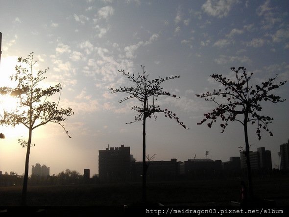 IMAG0318